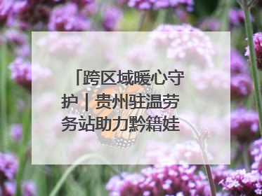 跨区域暖心守护｜贵州驻温劳务站助力黔籍娃入学无忧