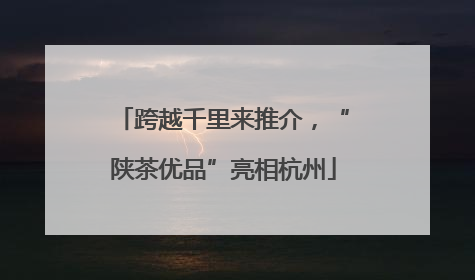跨越千里来推介，“陕茶优品”亮相杭州