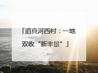 道真河西村：一地双收“新丰景”