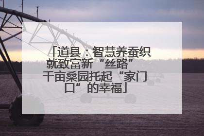 道县：智慧养蚕织就致富新“丝路” 千亩桑园托起“家门口”的幸福