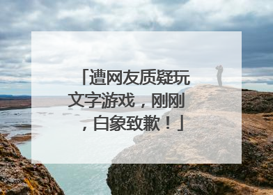 遭网友质疑玩文字游戏，刚刚，白象致歉！