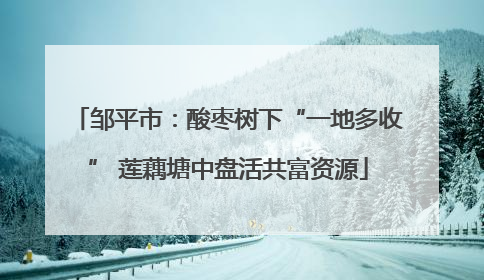 邹平市：酸枣树下“一地多收” 莲藕塘中盘活共富资源
