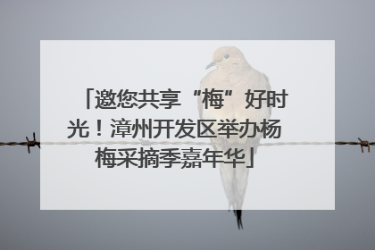 邀您共享“梅”好时光！漳州开发区举办杨梅采摘季嘉年华