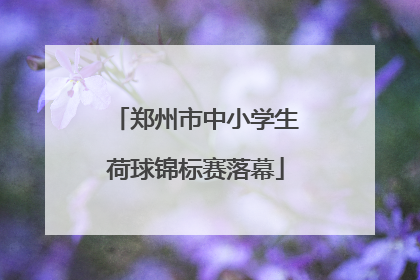 郑州市中小学生荷球锦标赛落幕