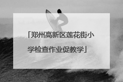 郑州高新区莲花街小学检查作业促教学