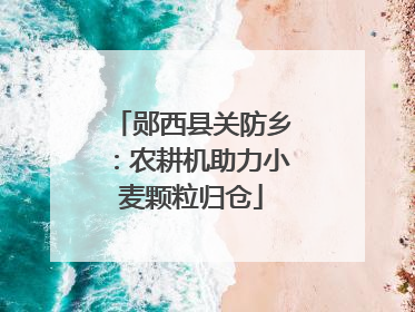 郧西县关防乡：农耕机助力小麦颗粒归仓