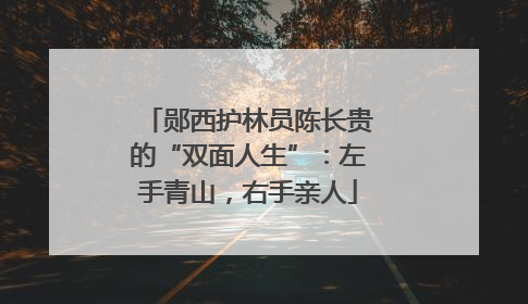 郧西护林员陈长贵的“双面人生”：左手青山，右手亲人