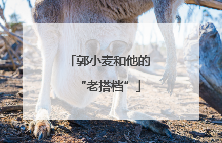 郭小麦和他的“老搭档”