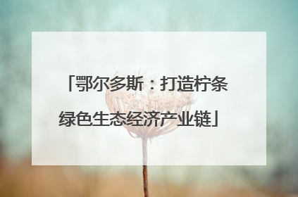 鄂尔多斯：打造柠条绿色生态经济产业链