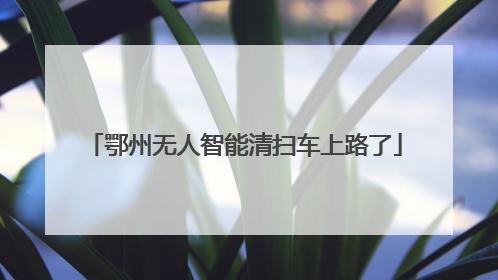 鄂州无人智能清扫车上路了