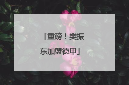 重磅！樊振东加盟德甲