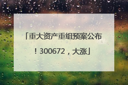 重大资产重组预案公布！300672，大涨
