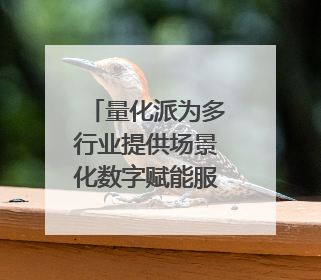 量化派为多行业提供场景化数字赋能服务，拟港交所上市