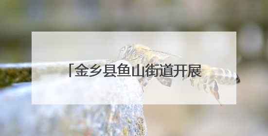 金乡县鱼山街道开展医保政策宣传活动