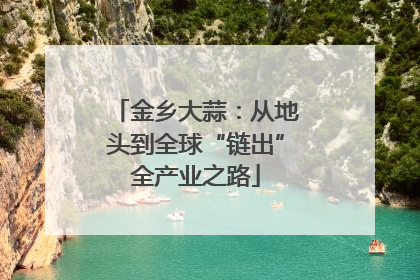 金乡大蒜：从地头到全球“链出”全产业之路