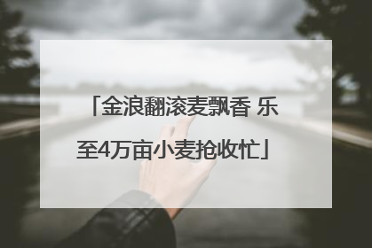 金浪翻滚麦飘香 乐至4万亩小麦抢收忙