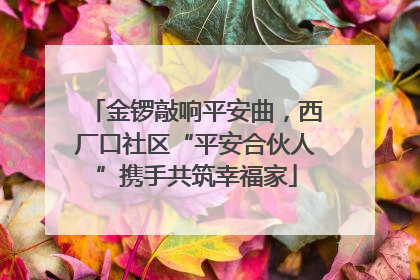金锣敲响平安曲，西厂口社区“平安合伙人”携手共筑幸福家