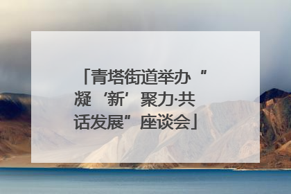 青塔街道举办“凝‘新’聚力·共话发展”座谈会
