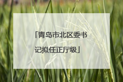 青岛市北区委书记拟任正厅级
