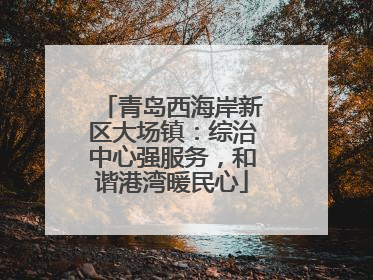 青岛西海岸新区大场镇：综治中心强服务，和谐港湾暖民心