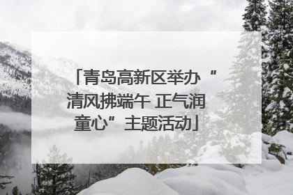 青岛高新区举办“清风拂端午 正气润童心”主题活动