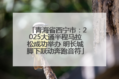 青海省西宁市：2025大通半程马拉松成功举办 明长城脚下跃动奔跑音符