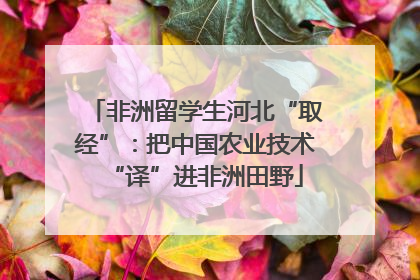 非洲留学生河北“取经”：把中国农业技术“译”进非洲田野