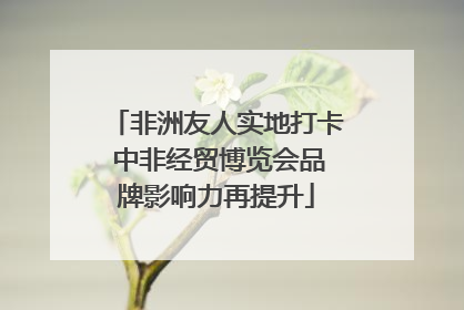非洲友人实地打卡 中非经贸博览会品牌影响力再提升