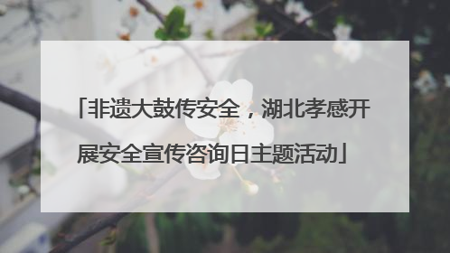 非遗大鼓传安全，湖北孝感开展安全宣传咨询日主题活动