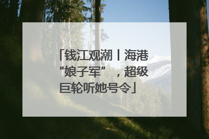 钱江观潮丨海港“娘子军”，超级巨轮听她号令
