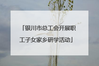 银川市总工会开展职工子女家乡研学活动