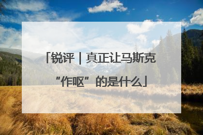 锐评｜真正让马斯克“作呕”的是什么