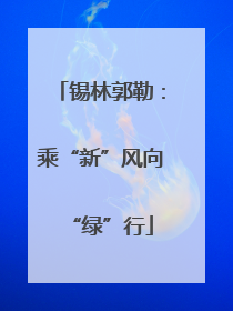 锡林郭勒：乘“新”风向“绿”行