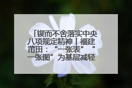 锲而不舍落实中央八项规定精神丨福建莆田：“一张表”“一张图”为基层减轻“数字负担”