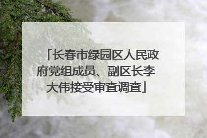 长春市绿园区人民政府党组成员、副区长李大伟接受审查调查