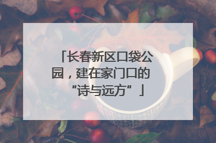 长春新区口袋公园，建在家门口的“诗与远方”