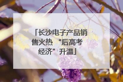 长沙电子产品销售火热 “后高考经济”升温