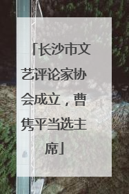 长沙市文艺评论家协会成立，曹隽平当选主席