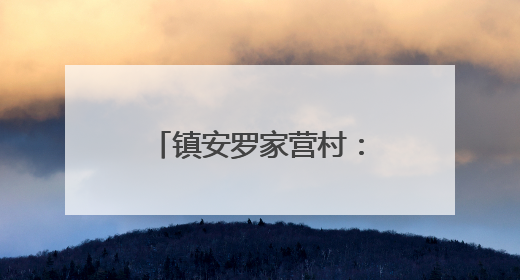 镇安罗家营村：“吃水饭”吃出乡村振兴好滋味