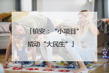 镇安：“小项目”撬动“大民生”