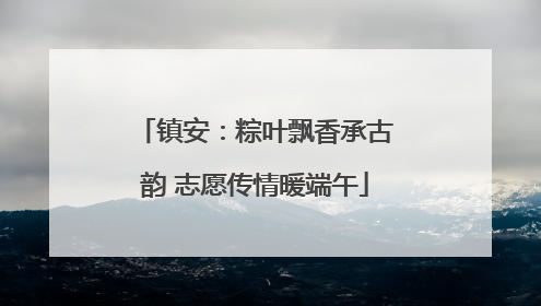 镇安：粽叶飘香承古韵 志愿传情暖端午
