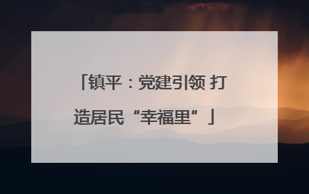 镇平：党建引领 打造居民“幸福里”