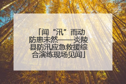 闻“汛”而动 防患未然——炎陵县防汛应急救援综合演练现场见闻