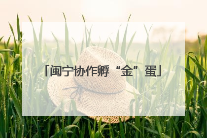 闽宁协作孵“金”蛋
