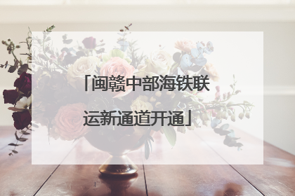 闽赣中部海铁联运新通道开通
