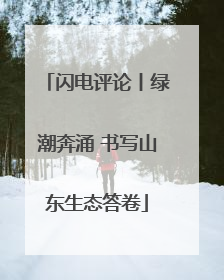 闪电评论丨绿潮奔涌 书写山东生态答卷