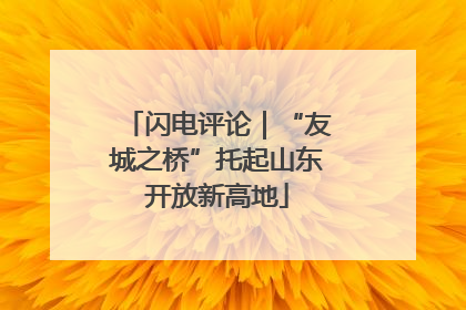 闪电评论｜“友城之桥”托起山东开放新高地