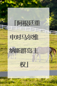 阿根廷重申对马尔维纳斯群岛主权