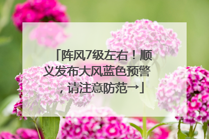 阵风7级左右！顺义发布大风蓝色预警，请注意防范→