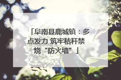 阜南县鹿城镇：多点发力 筑牢秸秆禁烧“防火墙”
